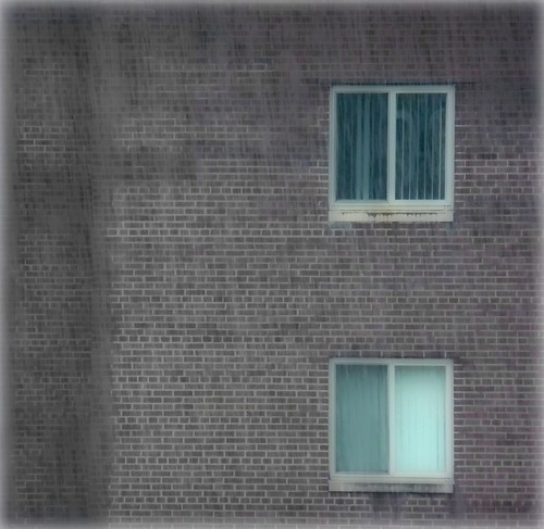 365-001_Windows in the Rain