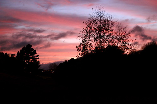 Friday: pink dawn on the way to work