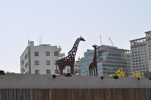 Giraffes at Ssamzie