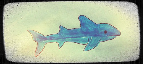 Shark Doodle