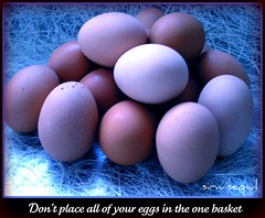 Don't Place All Of Your Eggs In The One Basket