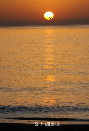 Amanecer playa Sole octubre 2010-4
