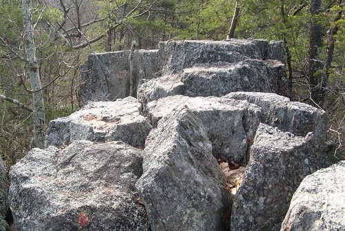 Rocky section of trail