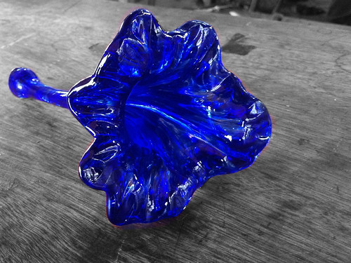 A colorized photo (using Color Splash on an iPhone) of a glass flower