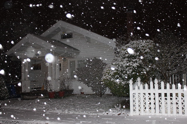 Snow at Night with Flash