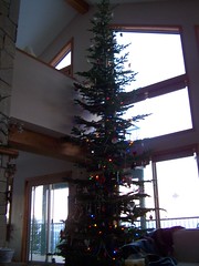 2010 Tree