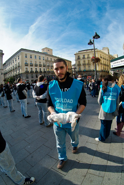11/12/10 - Madrid - Día Internacional de los Derechos Animales | International Animal Rights Day