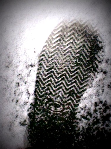 Footprint in the Snow