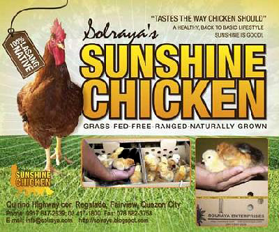 Solraya Sunshine Chicken