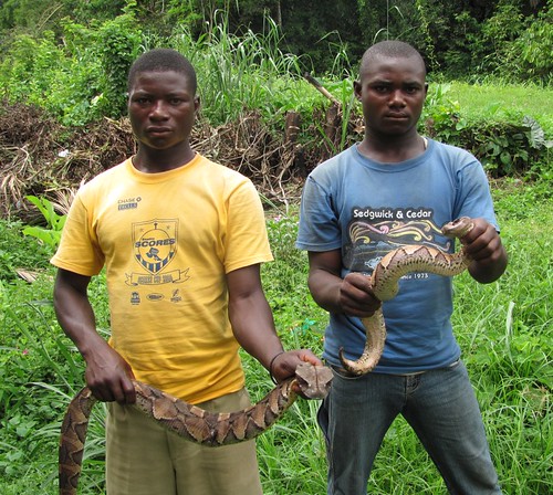 snake boys of Ubundu
