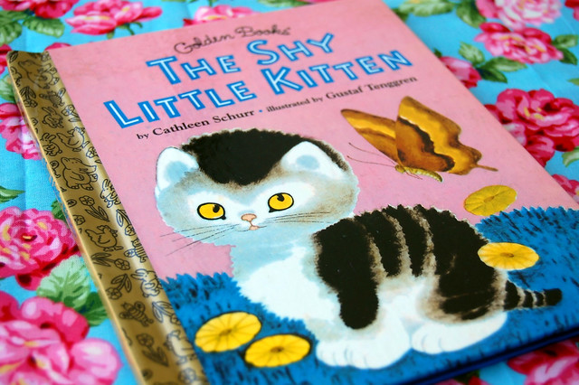 The Shy Little Kitten Childrens Book