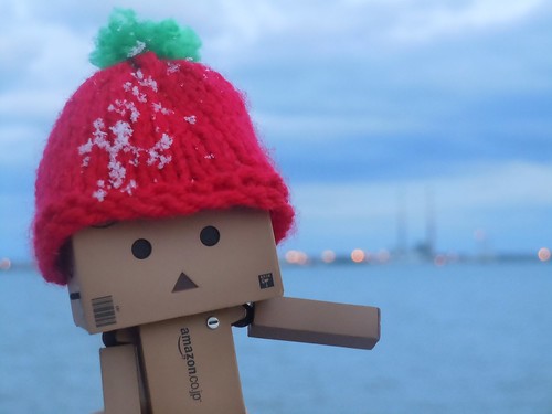 Danbo Dublin Bay early this morning by the sea 