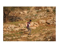 Photos Document Violence During Bil’in Riot This Weekend by Israel Defense Forces