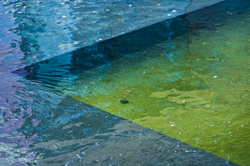 vmfa pond abstract photo