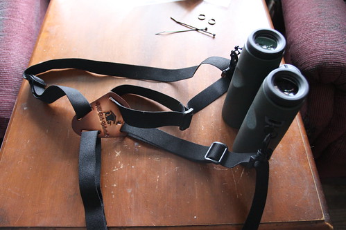 Binocular Harness & Swarovski Bins