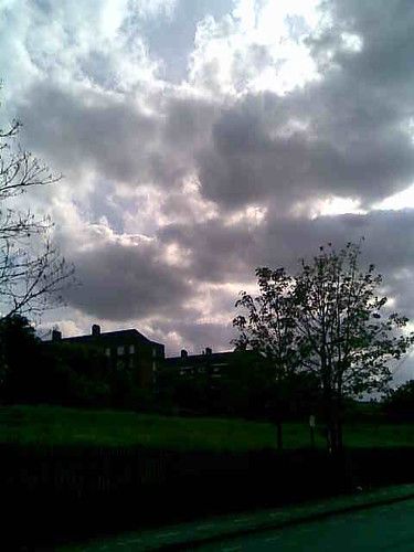 dark skies in tottenham