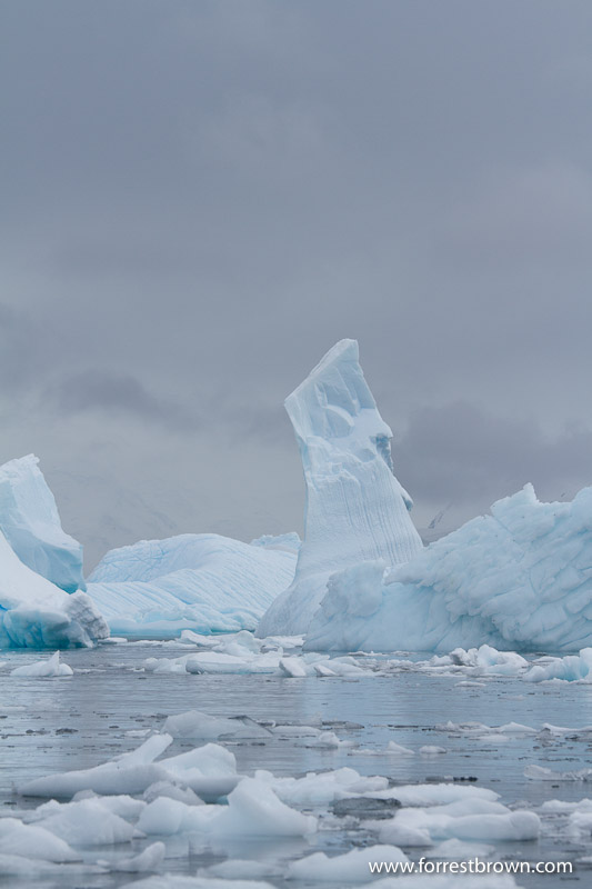 Antarctica, Icebergs