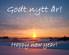 Godt nytt år / Happy new year (2011)