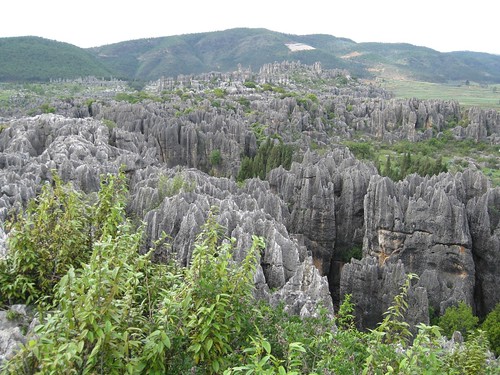 Shilin/Stone Forest, Kunming