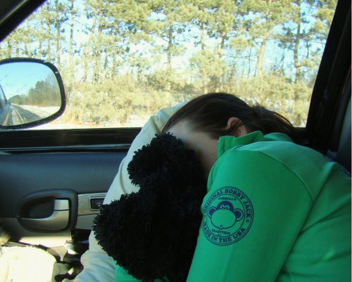 Casey Sleeps on the car
