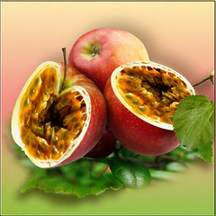 Appleassion fruit / Maracuçã