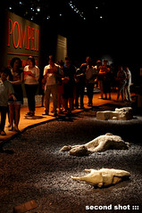 Victims of Pompeii