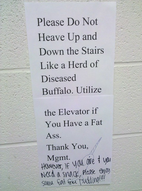 Please Do Not Heave Up and Down the Stairs Like a Herd of Diseased Buffalo. Utilize the Elevator if you Have a Fat Ass.