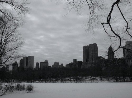 Central Park in Snow 2