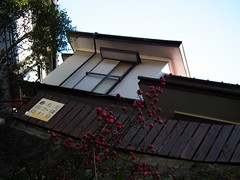 Ishikawa coffee_view ~石川珈琲