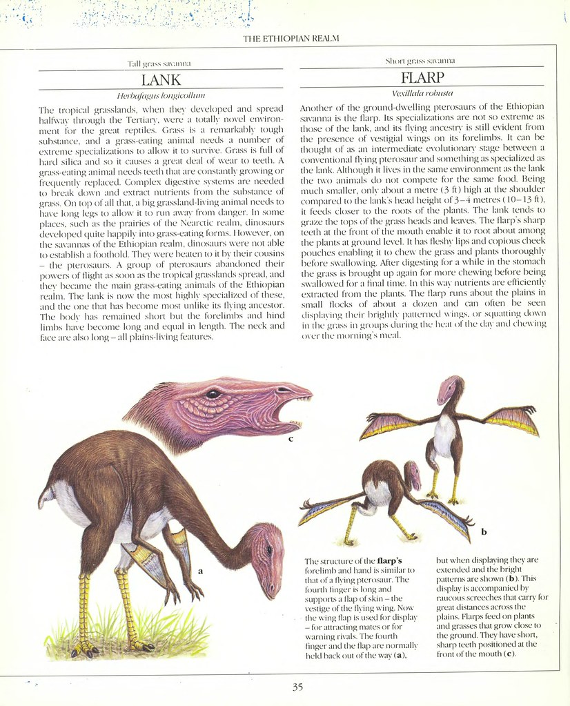 The New Dinosaurs - Dougal Dixon 1988_page_0035