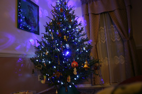 December 2010: Nicholas took this one of the tree the first night it was lit.  Blue and white lights only.