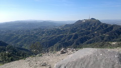View of Hollywood sign from top of Mt Hollywood