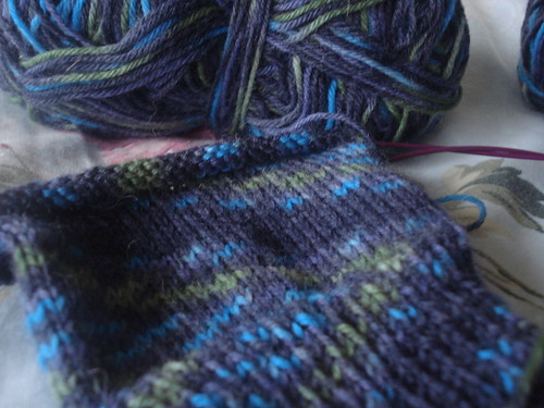 knitting 231