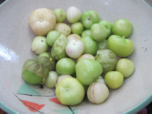 These are not tomatoes but a type of gooseberry 