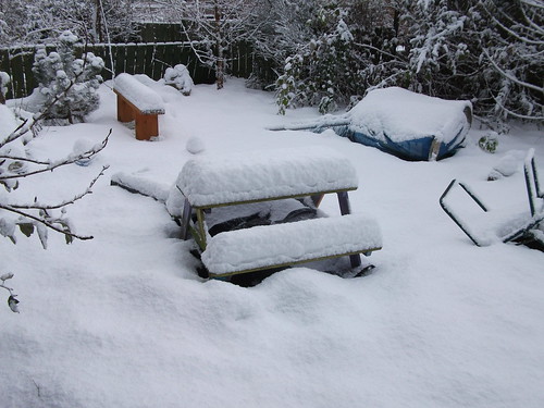 Uk Snow 2010. UK Snow 2010 December 011