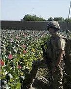 Les États-Unis peuvent-ils l’emporter dans cette guerre en Afghanistan, si dépendante à la drogue ? L’opium, la CIA et l’administration Karzai thumbnail