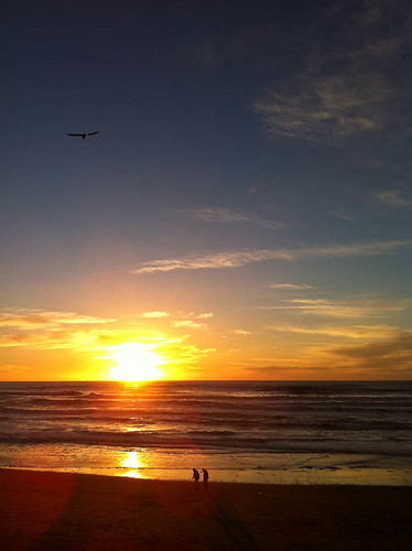Pacific Coast Sunset (With People And Bird)