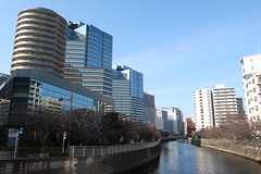 Meguro river