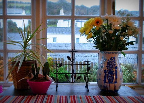 Day 218 - New Vase