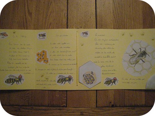 lapbook abeille 6