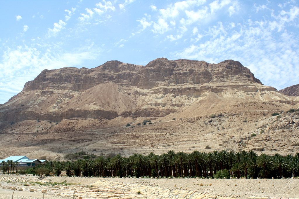 фото: Dead Sea