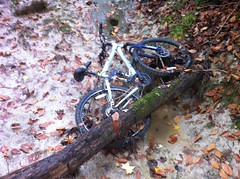  Dead Bike 