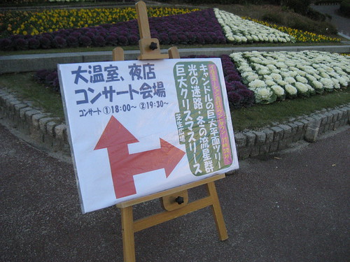 広島市植物公園 イルミネーション 画像12