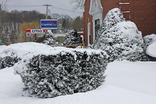 Snow Storm During The 2010