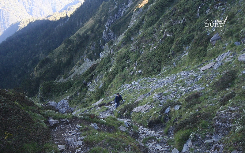 朝奇萊主峰的山徑也是相當陡峭