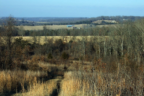 View from Compton Hollow Conservation Area