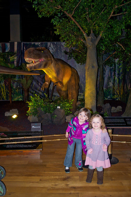Dinosaurs Unearthed, 11/26/2010