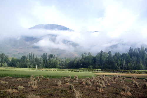 Srinagar Nature