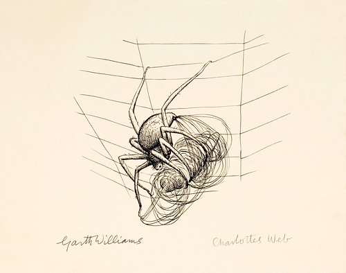 simple ink sketch of spider on web wrapping parcel in silk