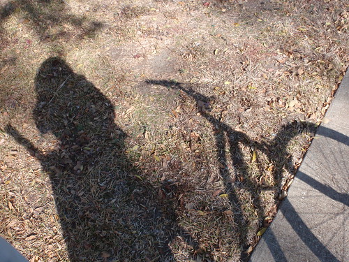 Shadow Elf and Her Bike